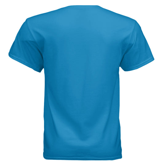 SAPPHIRE - BACK